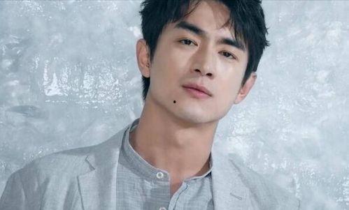 林更新娱乐圈文