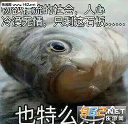 草鱼诡异的光表情包,网络新宠，笑点满满